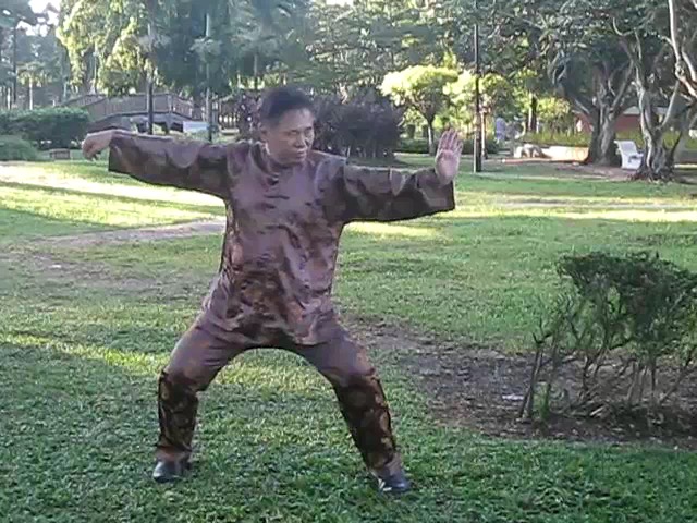 Wu Chuan You Taijiquan Set